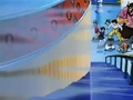 Dbz245(for dbzf.ten.lt) 20120418-17201318