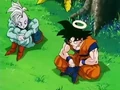 Dbz245(for dbzf.ten.lt) 20120418-17235799