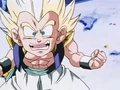 Dbz245(for dbzf.ten.lt) 20120418-17264782