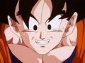 Dbz245(for dbzf.ten.lt) 20120418-17361726