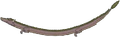 Dark Wyvern