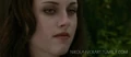 Bella with gold eyes.jpg
