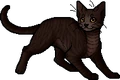 Dustpelt.apprentice