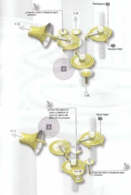 Lymph Vessel Map 2