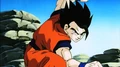 MajinBuuTransforms15