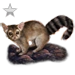 Item ringtailcat silver 01