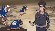 Kiba's Determination