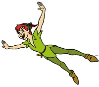 Clippeterfly