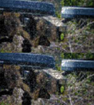 Altered BO2Intel1
