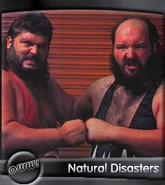 Natural Disasters 1