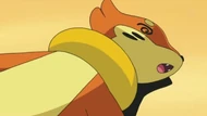 EP656 Buizel debilitado