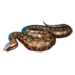 Item addersnake 01.png