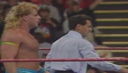 Battle Royal 1991.5