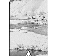 Tiburon surface