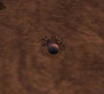 AshSpiderlingWP