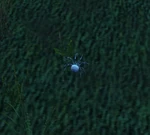 DuskSpiderlingWP