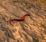 SnakeWP