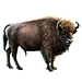 Item europeanbison 01.png