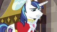 Shining Armor S2E25