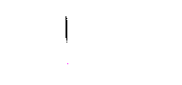 Mrchau1