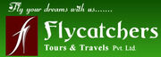 FlyCatchers
