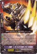 Vgbt06042