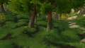 Dookin'Grounds.jpg