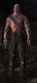 NPC Cosmin.jpg
