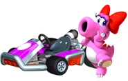 Birdo MK9