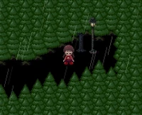 The Dense Woods