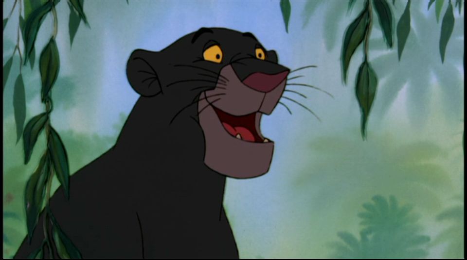 Bagheera Mowgli