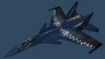 Su-37 C05