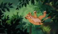 Lion3-disneyscreencaps com-4952