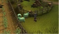 Sheep Herder.jpg