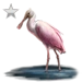 Item roseatespoonbill silver 01