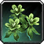 Inv misc herb silkweed.png