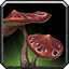 Inv misc herb foolscap.png
