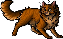 Lionblaze.apprentice.alt