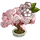 Cherry Bonsai Tree-icon
