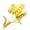 Golden Wheat Seed