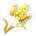 Golden Wheat Seed
