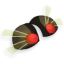Crucifly Epaulettes