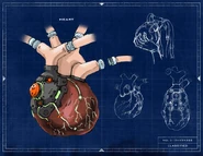 Heart