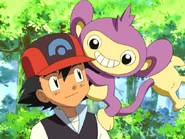 Ash and Aipom