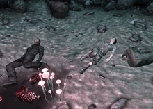 GC wastelanders
