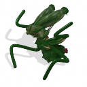 Xenobrood.png (23 KB) Xenobrood
