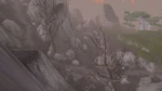TheSpringRoad