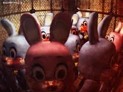 Evil bunnies