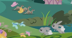 Wildlife thumb