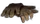 FTD CKiln-Image 217